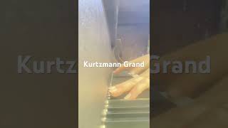 Kurtzmann Grand  Play it Forward serial  87974 musicalinstrument piano [upl. by Sinclare87]