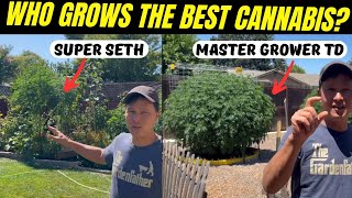 Best Organic Cannabis Growing Tips  Hippie vs Master Grower [upl. by Delfeena]