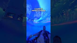 INCREDIBLE 360° Immersive Water Slide in Florida — Projection Mapping [upl. by Panayiotis]