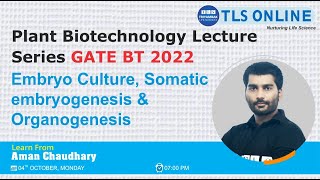 Embryo Culture Somatic embryogenesis amp Organogenesis [upl. by Gaile689]