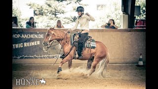 Stopptraining bei Elias Ernst im Jahr 2017 2  Reiten Westernreiten Stop Stoppen [upl. by Kcirtapnhoj]