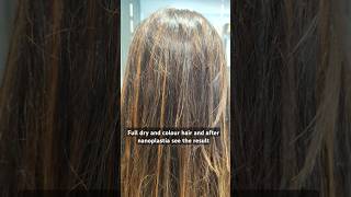 Dry and damage hair solution keratin hairstyle hairtreatment [upl. by Nurav462]