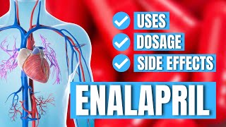 Enalapril Vasotec  Uses Dosage Side Effects  Doctor Explains [upl. by Nwahsel]