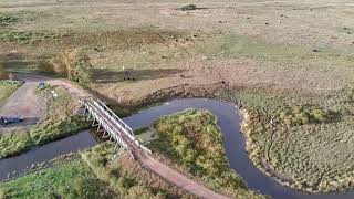 Redwater Bridge An early morning flight [upl. by Harms]