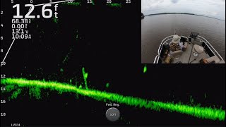 Crappie Fishing With LiveScope on Lake Darbonne FullScreen LiveScope Footage Trip 19 [upl. by Naitirb989]