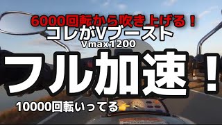 やりすぎ危険！ターボ！？ これがVブースト！ Vmax1200 旧車でもこの加速！ノーマルサイレンサー 1998年式 高音質 ZOOM H2N モトブログ 大型自動二輪 バイク [upl. by Ila852]