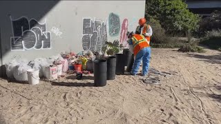 San Diego completes major cleanup of encampments under I5 [upl. by Cinomod]