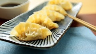 Rezept Gyoza japanische Teigtaschen selber machen [upl. by Ahsoik]