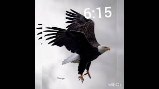 eiye jorjor happy 615 to all rugged airlord worldwide 💙❤️💛🦅🦅 entertainment edit explore [upl. by Shermie360]