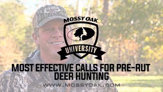 PreRut Deer Calling Tactics  What Calls Work The Best [upl. by Shevlo]