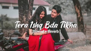 Tera Ishq Bada Teekha  Slowed amp Reverb  Javed Ali  Rowdy Rathore  Tera Ishq Bada Tikha Lofi [upl. by Vidovik]