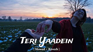 Teri Yaadein  Slowed  Reverb  2024  Urban [upl. by Alyos]