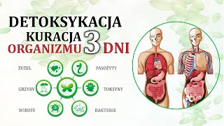 Detoksykacja Organizmu Oczyszczanie Jelit Wątroby Pasożyty Detoks Głodówka Zioła Kuracja 3 Dni [upl. by Aicilehp]