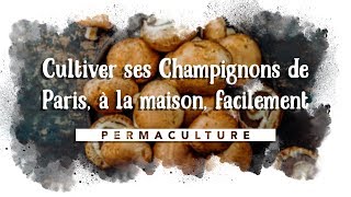 Cultiver ses Champignons de Paris à la maison facilement 🍄 [upl. by Annelg]