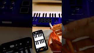 1 🔥 Cómo conectar el controlador midi TempoKey K25 SYNIDO al celular con Bandlab [upl. by Jer]