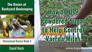 How to Use Powdered Sugar to Control Varoa Mites [upl. by Osric]