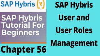 hybris user management  hybris user rights  hybris user roleshybris tutorial for beginnersPart56 [upl. by Dehnel]