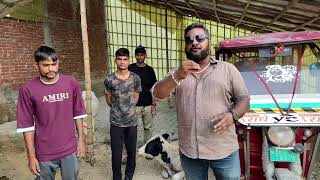 Animal rescue team lakhimpur animalrescue cowvideos goushala tritmenttrendingvaralshortsvideo [upl. by Elbam]