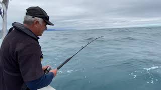 Kaikoura Hapuka Fishing NZ [upl. by Eirahcaz]