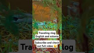 Welcome to estonia travel vlog travel estonia nature hiking waterfall [upl. by Airamas]