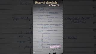 Steps of glycolysis with Enzyme class11biology respirationinplantsclass11 neetaspirant [upl. by Lilla358]