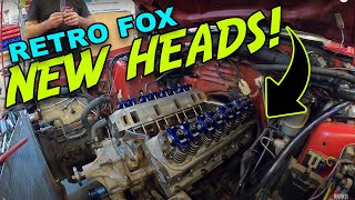 HEADS UP  The RETRO FOX Gets 170cc SVE ALUMINUM Heads [upl. by Akimyt]