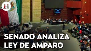 ¿Qué cambiaría la reforma a la ley de amparo Senado inicia su discusión [upl. by Thaxter]