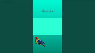 Parrots namesenglish [upl. by Moth]