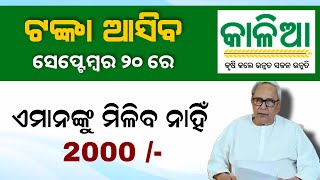 Kalia Yojana Money 2023  Kalia Yojana eKYC Update 2023 [upl. by Derreg429]