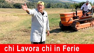 Chi Lavora Chi in Ferie contadino lavoro ferie [upl. by Ashbey]