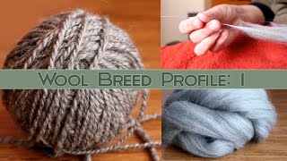 Hand Spinning Different Breeds Corriedale Wool Profile [upl. by Ettelra181]