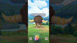 Bouffalant pokemon 18k cp  Easy for beginners  Near new york pokemongo [upl. by Bramwell]