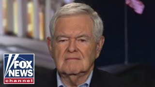 Newt Gingrich Dems are dangerously close to causing this disaster [upl. by Besse532]