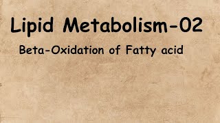 Lipid Metabolism02BetaOxidation of Fatty AcidBSc 3rd YearLife Science Classes [upl. by Frissell]