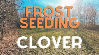 Frost Seeding Clover  Will it WORK [upl. by Anthony]