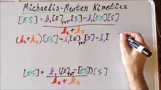 Kinetics MichaelisMenten enzyme derivations [upl. by Kerwon931]