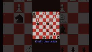 Chigorin trap chessshorts chessmakta shorts ChessMakta [upl. by Ikkaj468]