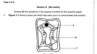 2011 Biology Paper 2 Question 1 fully answered [upl. by Terpstra]