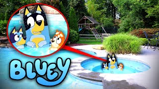 BLUEY amp BINGO POOL PARTY IN REAL LIFE BLUEY MOVIE [upl. by Zetnas261]