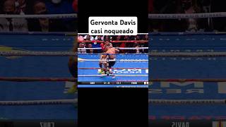 Gervonta Davis vs Pitbull Cruz boxing boxeo boxeomexicano gervontadavis pitbullcruz [upl. by Jariv]