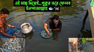 এই মাছ দিয়েই পুকুর ভরে ফেলবইনশাআল্লাহ 🐟 🐄 [upl. by Gratia]