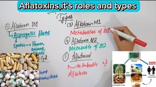 AflatoxinsMycotoxinsFull explaination in Hindi biochemistry [upl. by Dunaville]