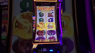 Massive jackpot on buffalo chief slot machine [upl. by Nomzaj248]