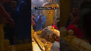 Kedarnath temple live darshan today [upl. by Lettie]