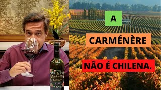 Carménère sua origem história e características [upl. by Sarid221]