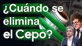 ¿Cuándo se eliminará el cepo cambiario ¿Cuál será la inflación de 2025 [upl. by Stefania828]