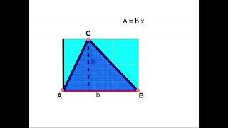 Area Triangolo Ottusangolo [upl. by Yerdua]