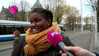 Negers over racismegehalte Nederland [upl. by Notsa]