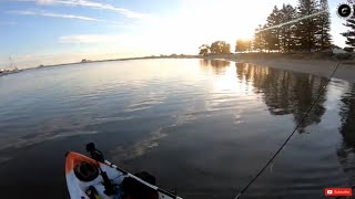 Kayak Fishing in Perth  Lots of Fish Around [upl. by Ribak]