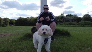 First Drone Flight  Horsenden Hill Open Space  London [upl. by Buyers]